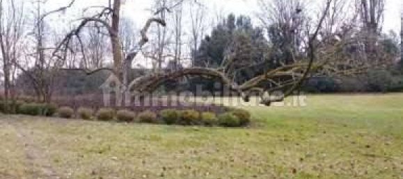 5 rooms House in Santa Giustina in Colle, Italy No. 218257 9