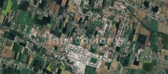 5 rooms House in Santa Giustina in Colle, Italy No. 218257 19