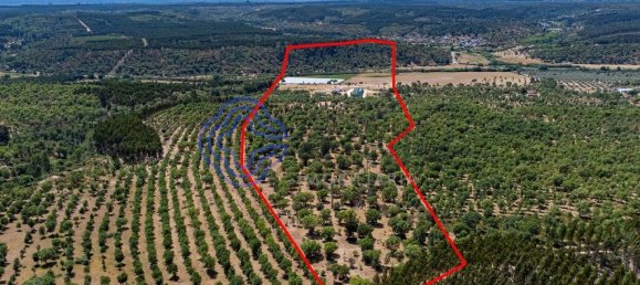 Casa de 3 dormitorios en Abrantes, Portugal No. 82162 13