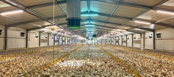 Casa de 3 dormitorios en Abrantes, Portugal No. 82162 15