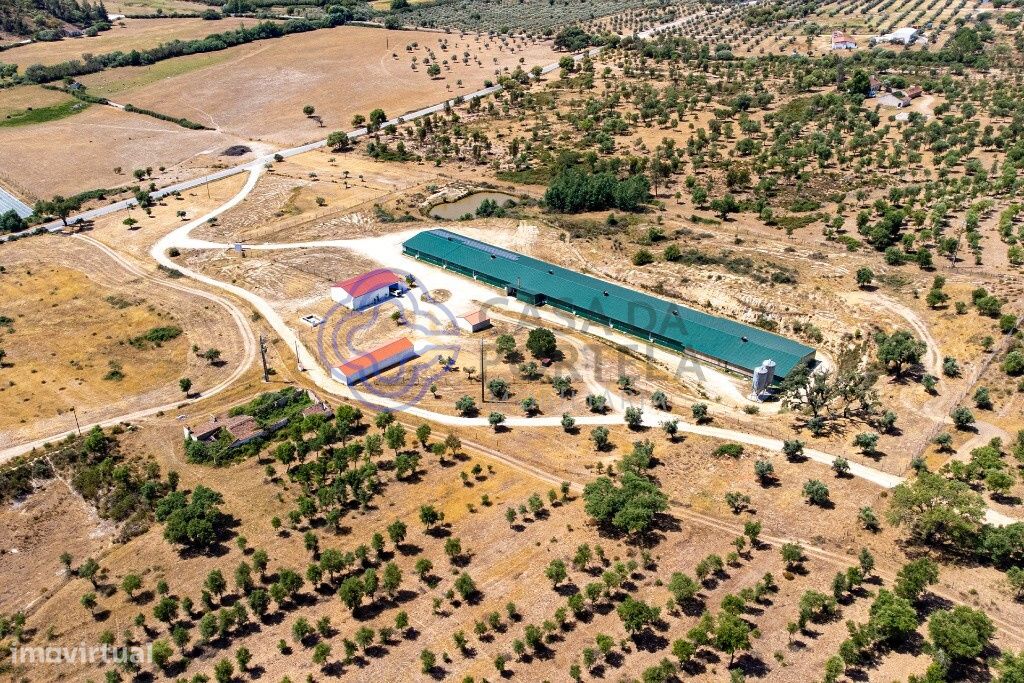 Casa de 3 dormitorios en Abrantes, Portugal No. 82162