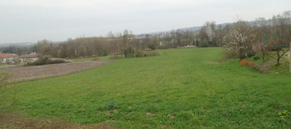 3170m² Land in Silvano d'Orba, Italy No. 256186 4