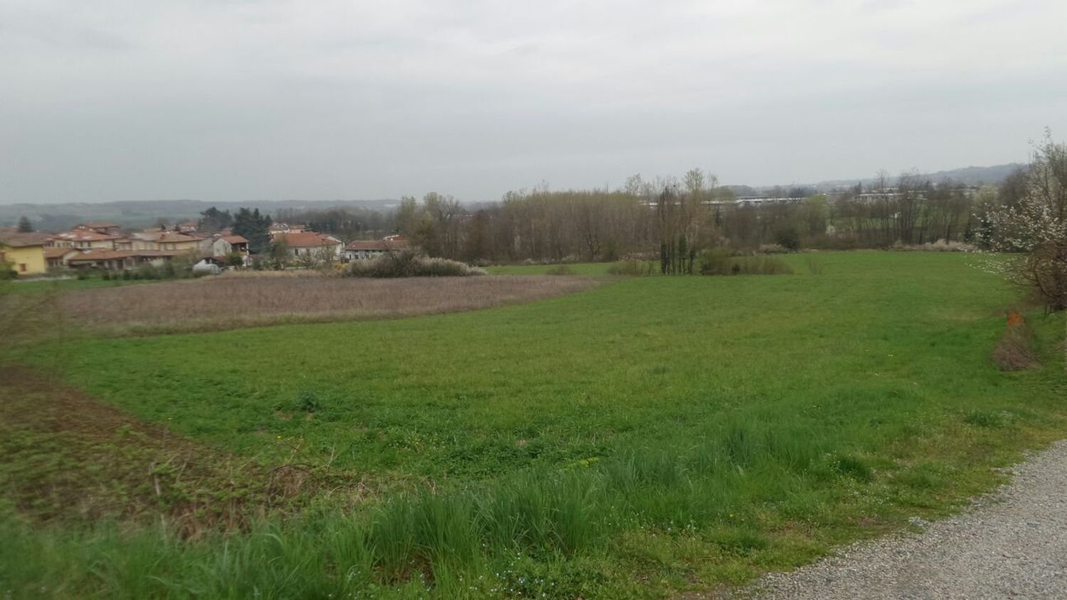 3170m² Land in Silvano d'Orba, Italy No. 256186