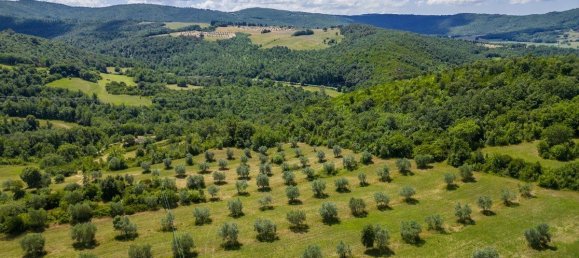 6 bedrooms Hotel in Monterotondo Marittimo, Italy No. 83555 25