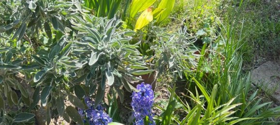 7 rooms House in Florence, Italy No. 116783 37