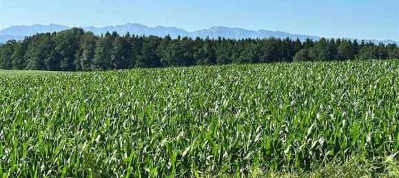 4-Zimmer Haus in Neukirchen an der Vöckla, Austria, Nr. 208216 13
