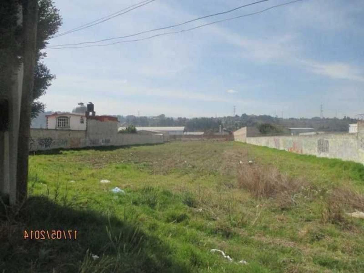  قطعة أرض في Ocoyoacac, Mexico رقم 206196