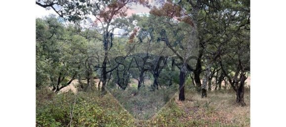 Grundstück in Macas de Dona Maria, Portugal, Nr. 200862 7