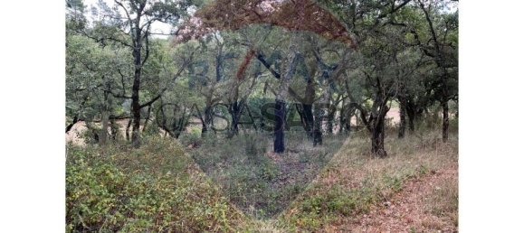 Grundstück in Macas de Dona Maria, Portugal, Nr. 200862 10