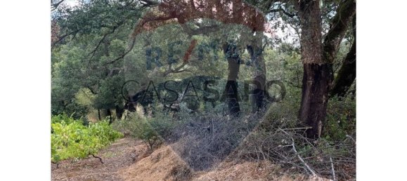 Grundstück in Macas de Dona Maria, Portugal, Nr. 200862 2