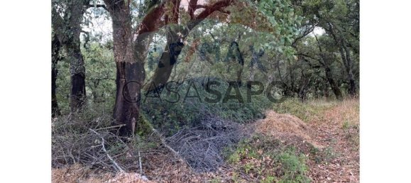 Grundstück in Macas de Dona Maria, Portugal, Nr. 200862 4