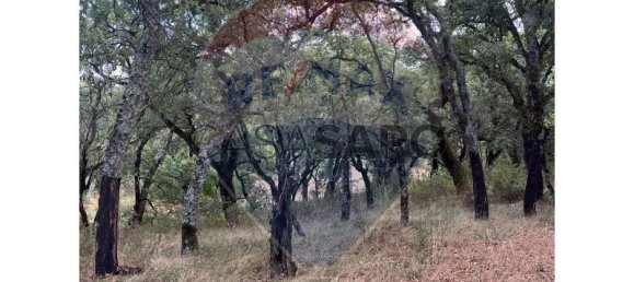 Grundstück in Macas de Dona Maria, Portugal, Nr. 200862 16