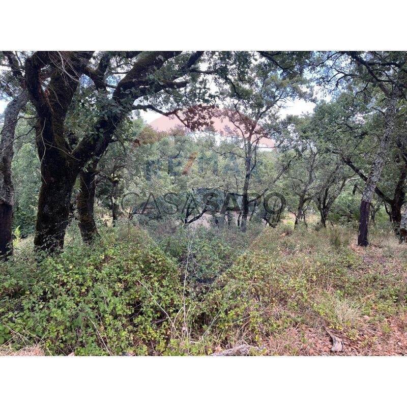  قطعة أرض في Macas de Dona Maria, Portugal رقم 200862