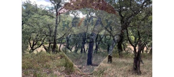 Grundstück in Macas de Dona Maria, Portugal, Nr. 200862 13