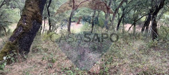 Grundstück in Macas de Dona Maria, Portugal, Nr. 200862 17