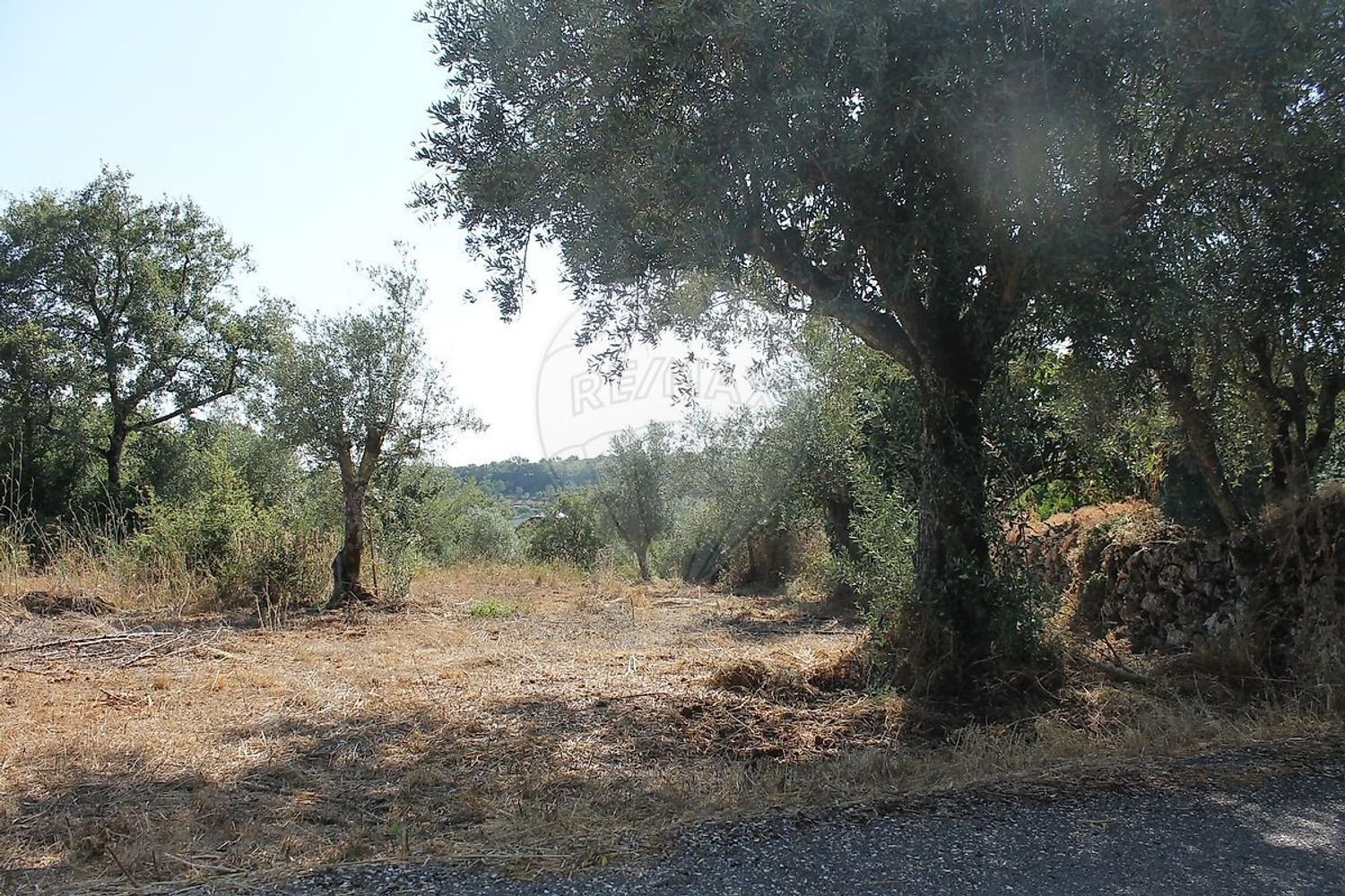 Terreno en Ferreira do Zezere, Portugal No. 222343