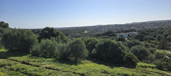 2690m² Land in Cadiz, Spain No. 29376 7