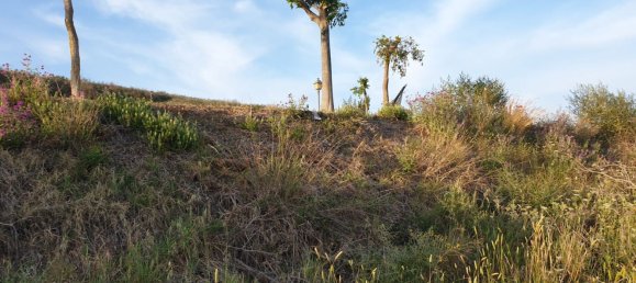 2690m² Land in Cadiz, Spain No. 29376 14