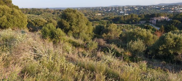 2690m² Land in Cadiz, Spain No. 29376 9