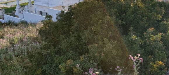 2690m² Land in Cadiz, Spain No. 29376 11