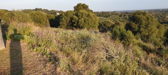 2690m² Land in Cadiz, Spain No. 29376 20