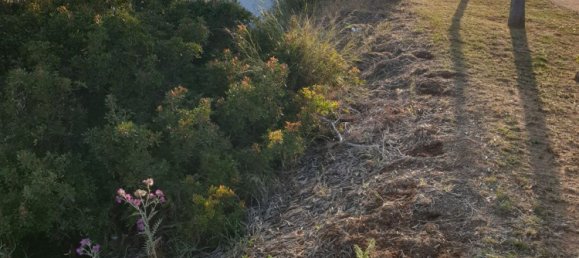 2690m² Land in Cadiz, Spain No. 29376 47