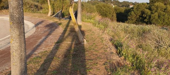 2690m² Land in Cadiz, Spain No. 29376 42