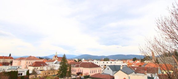 Дуплекс с 3 комнатами в Нойнкирхен, Австрия № 138581 13