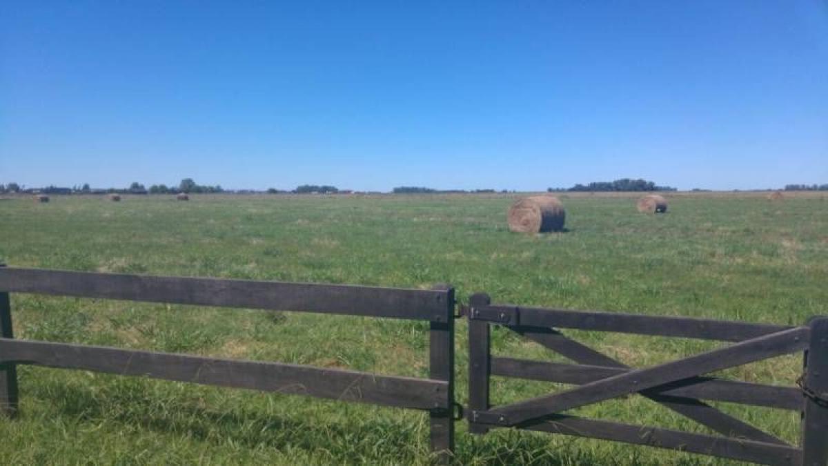 Terrain à Canuelas, Argentina No. 40913