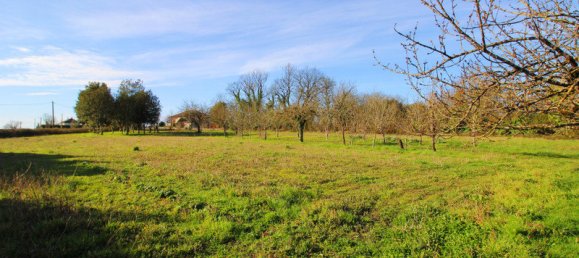 Bungalow T8 em Couture-d'Argenson, France N.º 102406 10