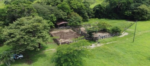 Terrain à Puerto Carrillo, Costa Rica No. 1410 4