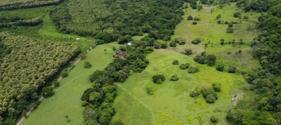 Terrain à Puerto Carrillo, Costa Rica No. 1410 6