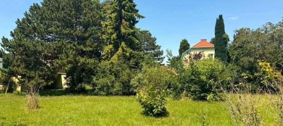 Land in Pottendorf, Austria No. 215479 2