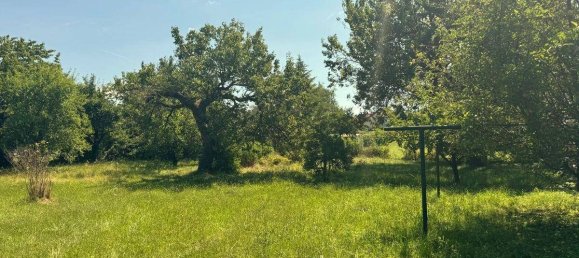 Land in Pottendorf, Austria No. 215479 5