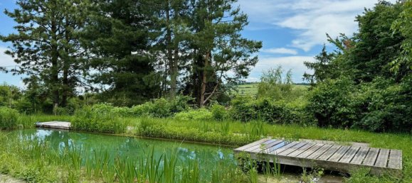  Land in Bergern im Dunkelsteinerwald, Austria No. 31193 4