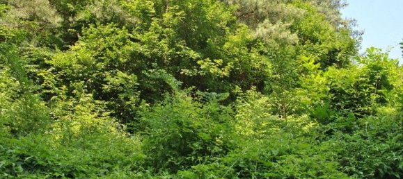 Villa de 6 habitaciónes en Borgo San Dalmazzo, Italy No. 257954 35