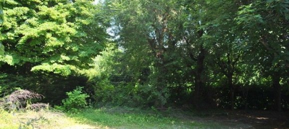 Villa de 6 habitaciónes en Borgo San Dalmazzo, Italy No. 257954 34