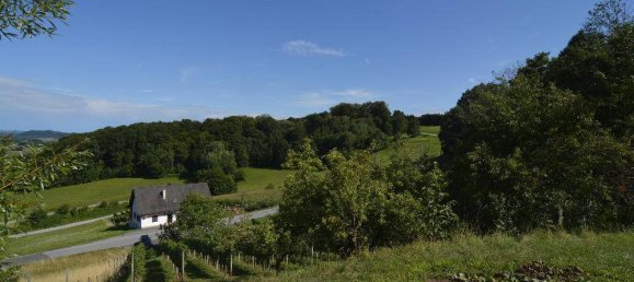 8878m² Commercial property in Furstenfeld, Austria No. 217671 11