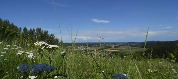 8878m² Commercial property in Furstenfeld, Austria No. 217671 9