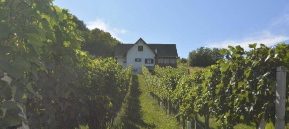 8878m² Commercial property in Furstenfeld, Austria No. 217671 2