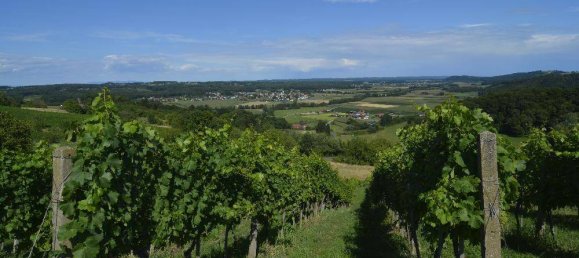 8878m² Commercial property in Furstenfeld, Austria No. 217671 13