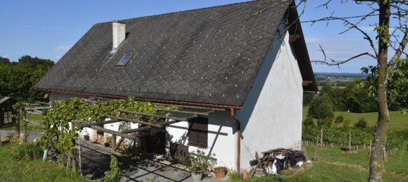 8878m² Commercial property in Furstenfeld, Austria No. 217671 7