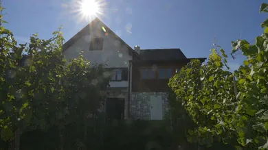 8878m² Commercial property in Furstenfeld, Austria No. 217671