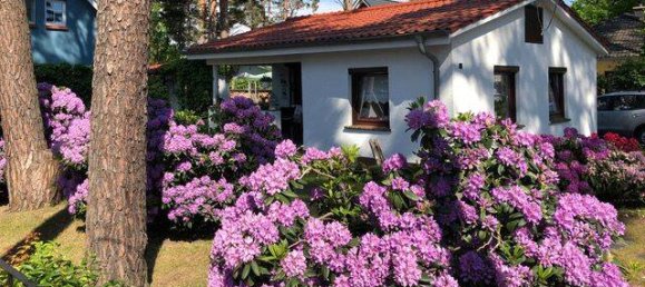 2 rooms Bungalow in Rostock, Germany No. 143109 16