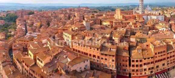 Коммерческая недвижимость с 5 комнатами в Сиена, Италия № 78513 6