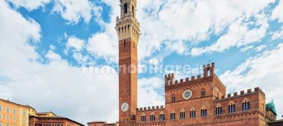 Коммерческая недвижимость с 5 комнатами в Сиена, Италия № 78513 4