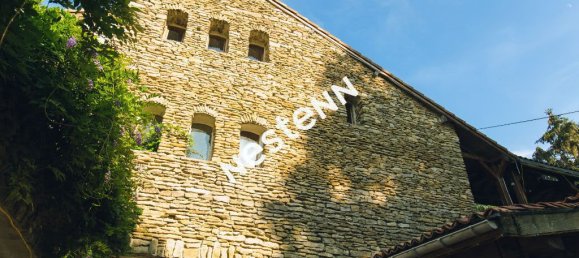 Propriété commerciale à Marre, France 1234m² No. 251144 5