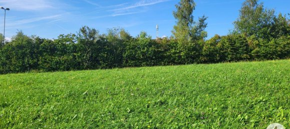  Land in Diersbach, Austria No. 124780 2