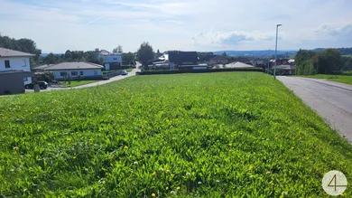  Land in Diersbach, Austria No. 124780