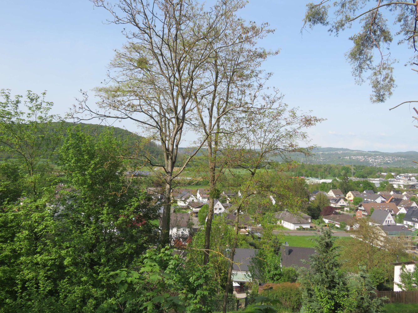  Land in Ahrweiler, Germany No. 164807